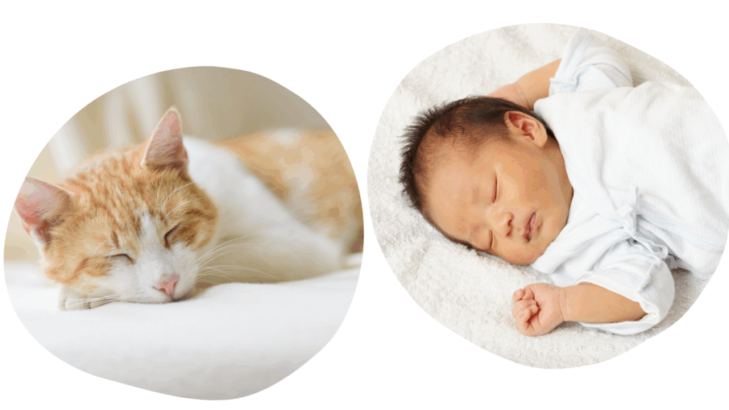 赤ちゃんやアレルギーでも安心